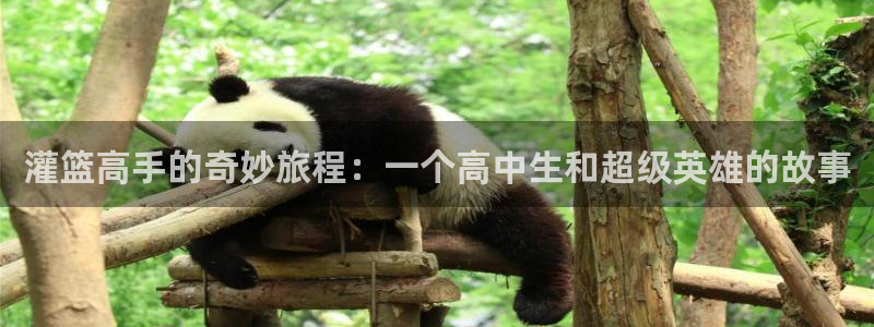 comics - 禁漫天堂：灌篮高手的奇妙旅程：一个高中生和超级英雄的故事