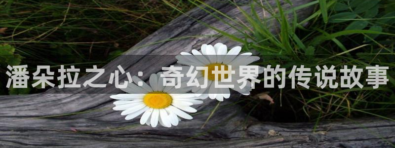 www.禁漫天堂：潘朵拉之心：奇幻世界的传说故事