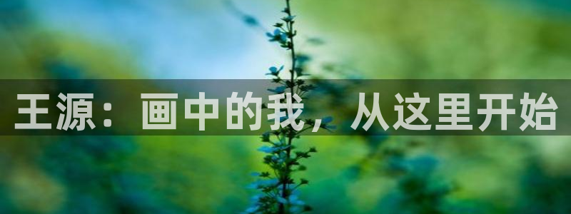 禁漫天堂 18comic：王源：画中的我，从这里开始