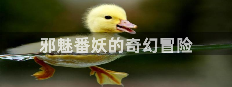 禁漫禁天堂a漫入口：邪魅番妖的奇幻冒险