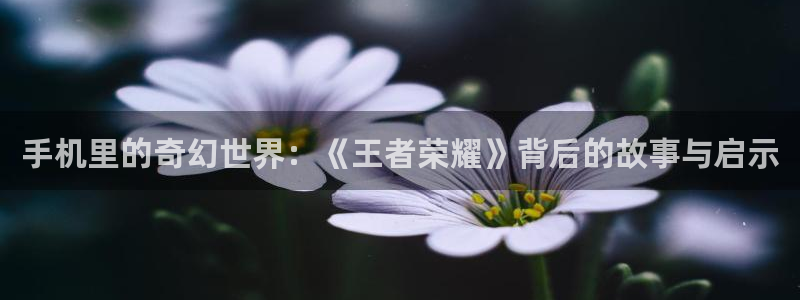 禁漫天堂漫画免费阅读：手机里的奇幻世界：《王者荣耀》背后的故事与启示