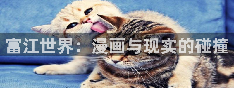 禁漫天堂在线网页：富江世界：漫画与现实的碰撞