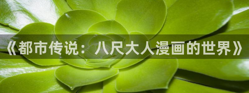 禁漫天堂36mb：《都市传说：八尺大人漫画的世界》