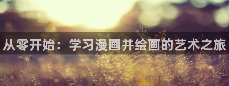 禁漫天堂域名：从零开始：学习漫画并绘画的艺术之旅
